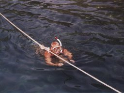 Törn 2000